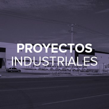 Proyectos Industriales