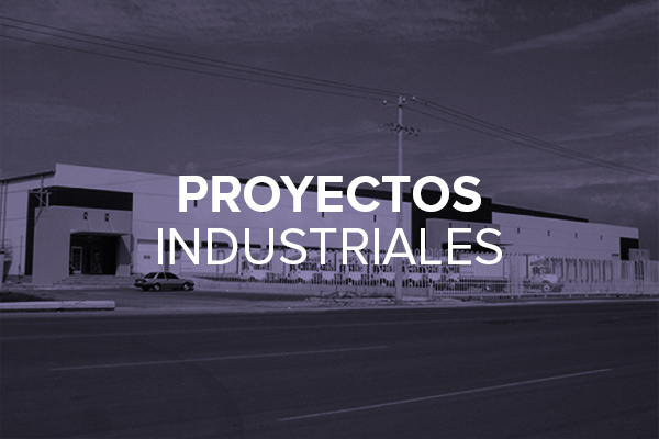 Proyectos Industriales